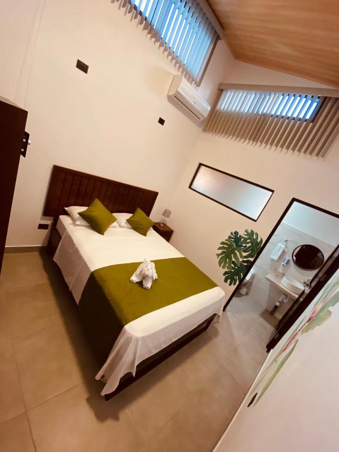 Casa Macaw Διαμέρισμα La Fortuna Εξωτερικό φωτογραφία